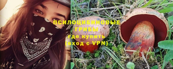 прущий лед Лиски