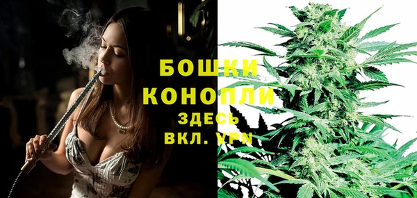 крисы Липки