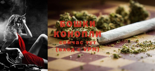 крисы Липки