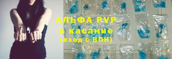 крисы Липки