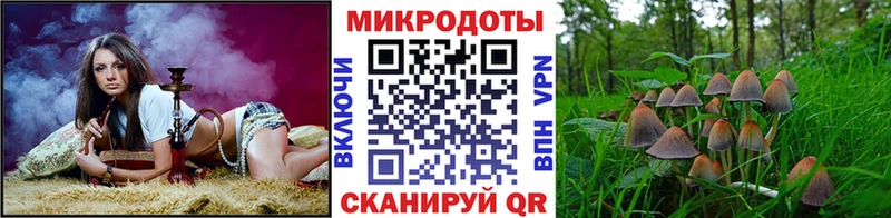 Галлюциногенные грибы Psilocybe  закладки  Опочка 
